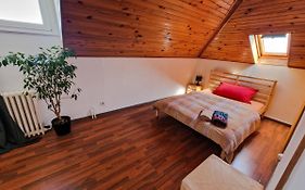 Comfortable Room 4 Minutes Walk To Basel Shared Apartment